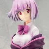 KOTOBUKIYA SSSS.Gridman Akane Shinjo 1/7 Scale Figure, 2 KOTOBUKIYA SSSS.Gridman Akane Shinjo 1/7 Scale Figure, -Figures & Dolls Sales ff262dea38f54802a0296b572b7484b2.jpg